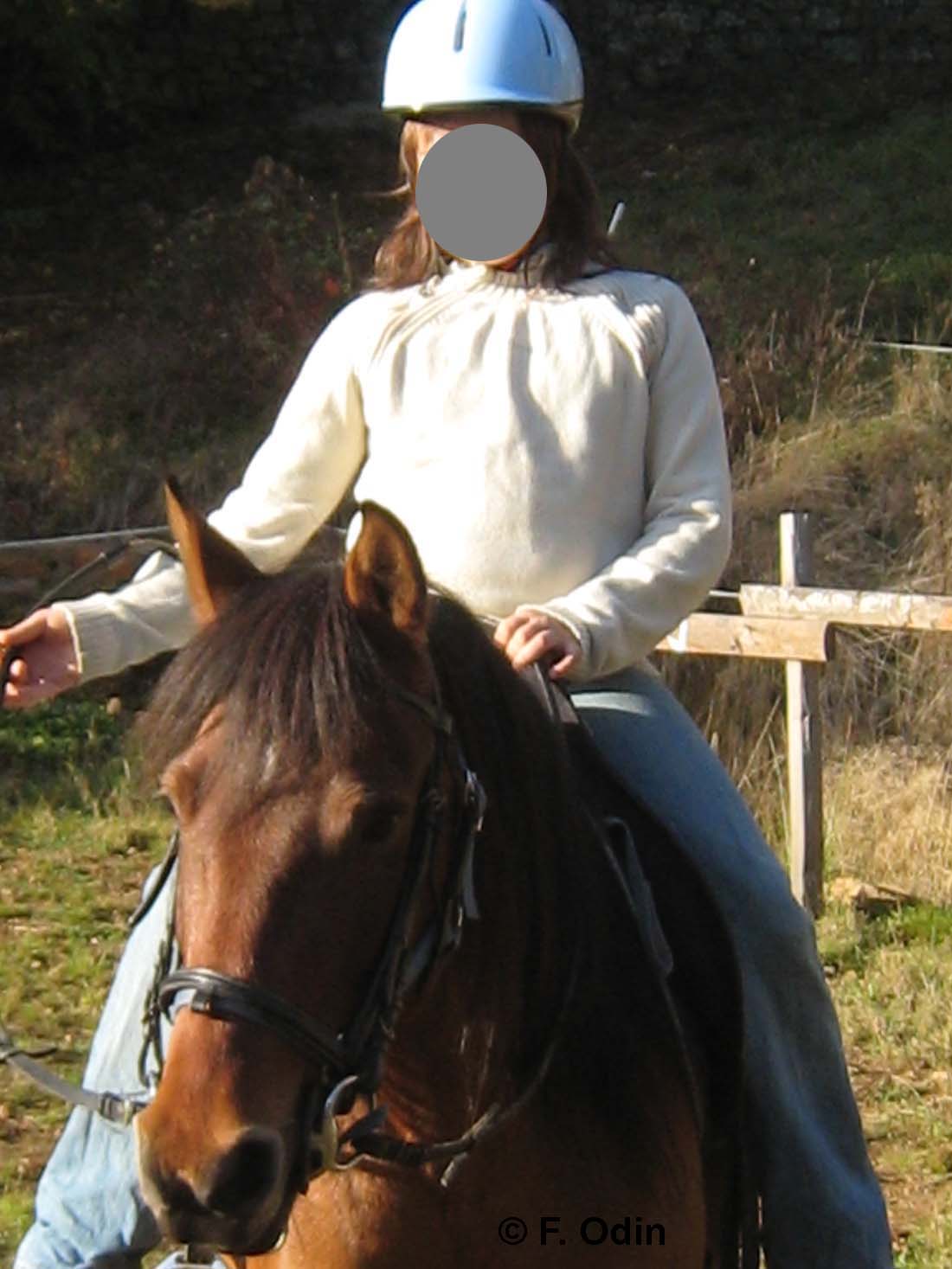 hyris-2009-11-montee1